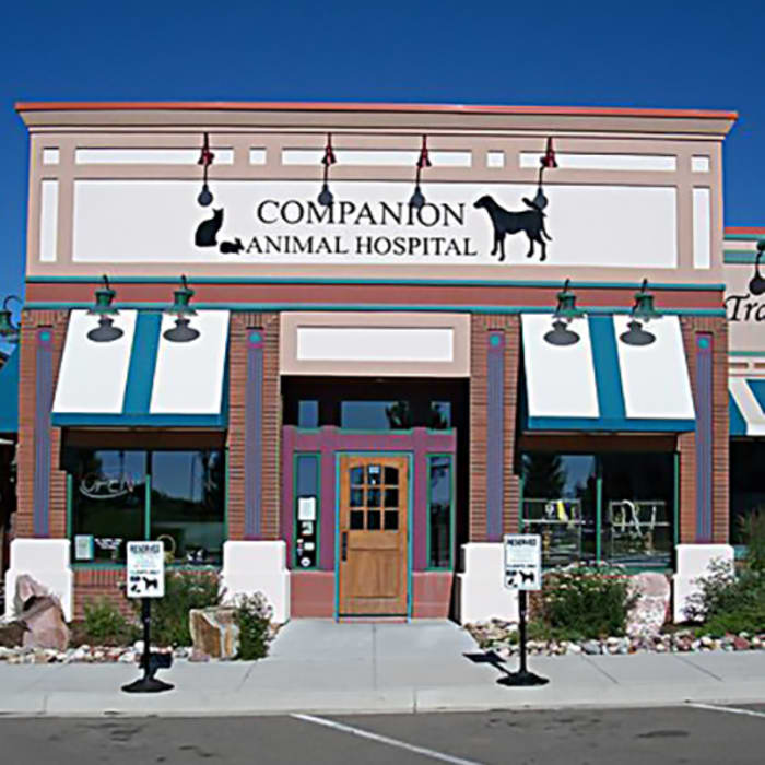 St. Michaels Companion Animal Hospital in Greeley