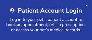 Patient Account Login